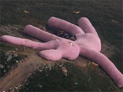 58-метровый розовый заяц начал стареть