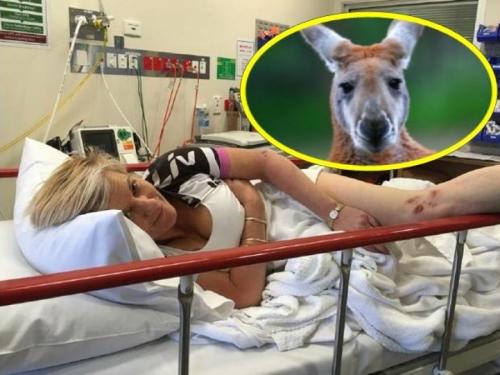 Самые страшные нападения животных на людей