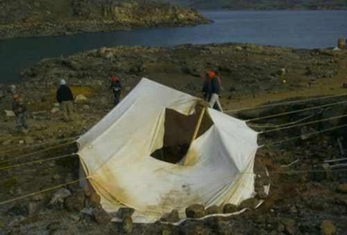 Самые страшные нападения животных на людей