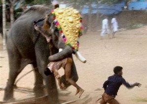 Самые страшные нападения животных на людей