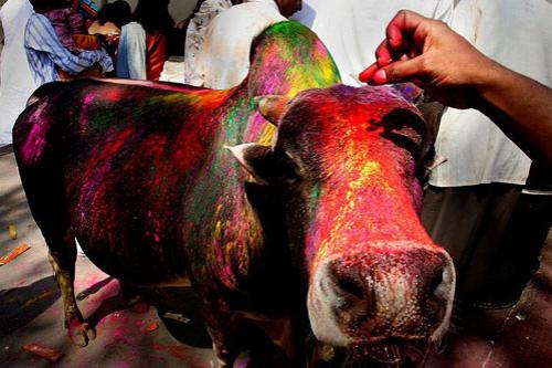 В Индии разразился Холи