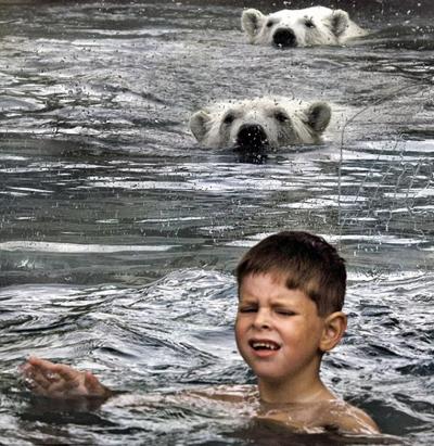 В одном водоеме с самыми крупными хищниками планеты