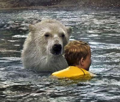 В одном водоеме с самыми крупными хищниками планеты