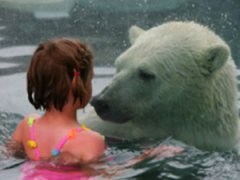 В одном водоеме с самыми крупными хищниками планеты