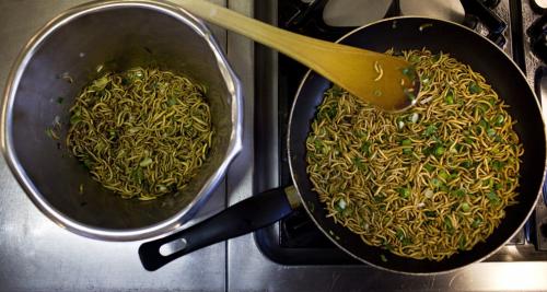 Мастер-класс по приготовлению насекомых