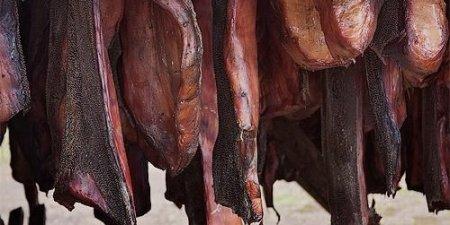 Самые шокирующие деликатесы разных стран мира