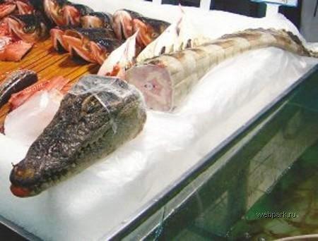 Самые шокирующие деликатесы разных стран мира