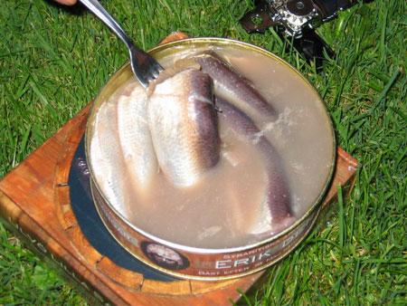 Самые шокирующие деликатесы разных стран мира