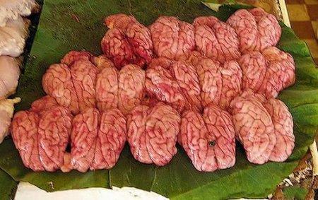 Самые шокирующие деликатесы разных стран мира