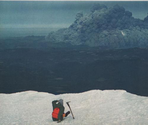 17 реальных историй, от которых кровь стынет в жилах