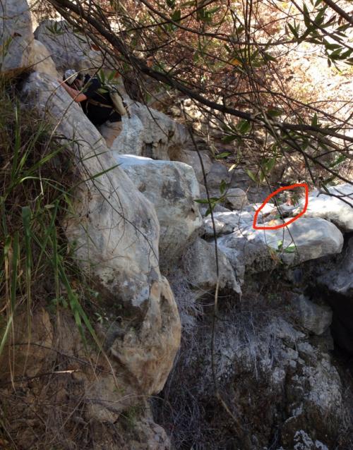 17 реальных историй, от которых кровь стынет в жилах