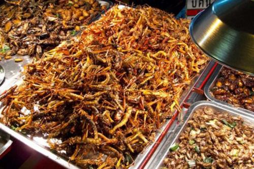 Необычный фастфуд разных стран мира