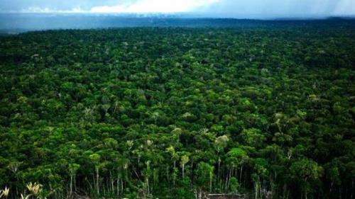 Значимые события 2018 года в области науки