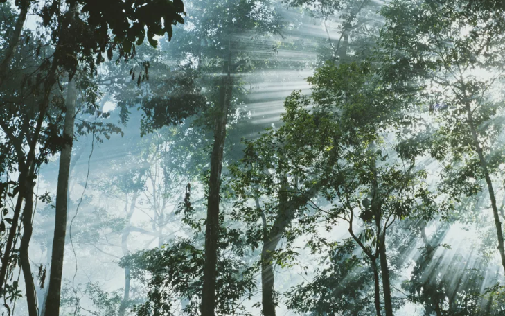 Значимые события 2018 года в области науки