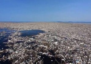 Море мусора захлестнуло Карибы