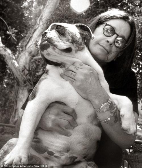 Звёзды снялись с домашними питомцами