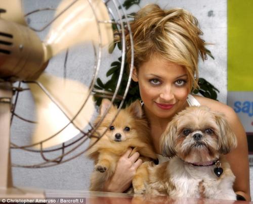 Звёзды снялись с домашними питомцами