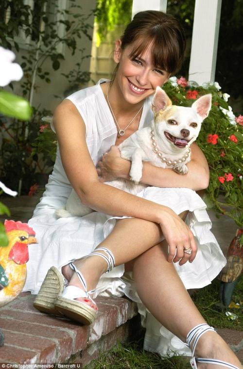 Звёзды снялись с домашними питомцами