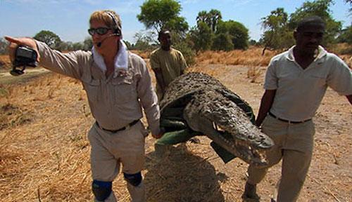 Зоолог, прикинувшись крокодилом, заполз в гости к рептилиям