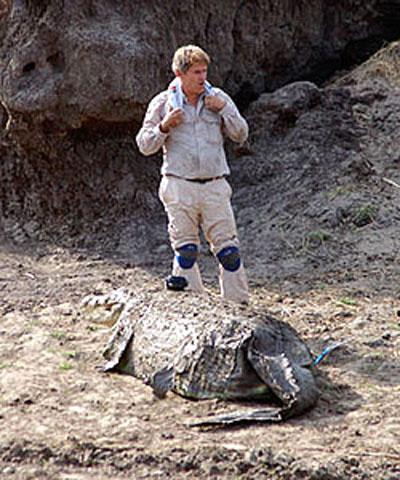 Зоолог, прикинувшись крокодилом, заполз в гости к рептилиям