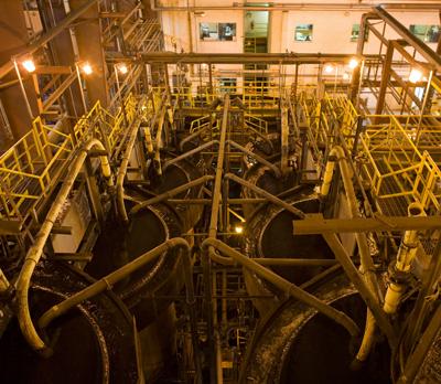 Золотая лихорадка: власть на все времена