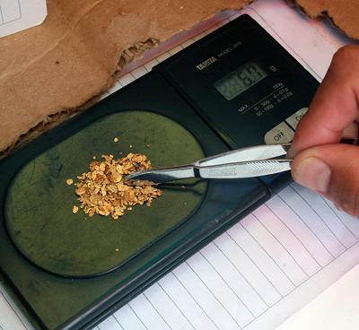 Золотая лихорадка: власть на все времена