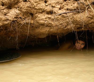 Золотая лихорадка: власть на все времена