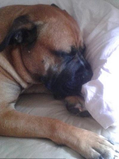 Они чудом выжили в одной катастрофе и погибли в другой