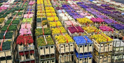 10 самых вместительных зданий мира