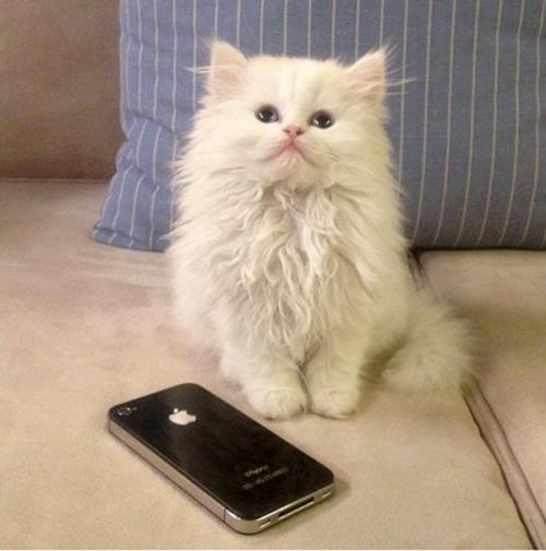 Самые экстравагантные подарки Канье Уэста для Ким Кадашьян