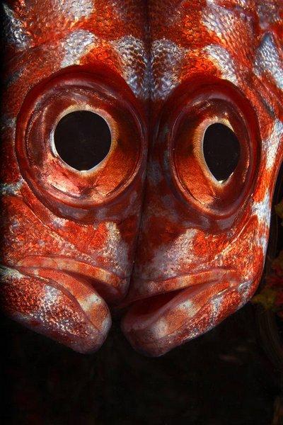 Лучшие фотографии природы