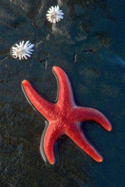 Лучшие фотографии природы