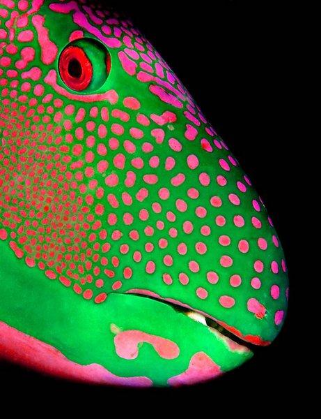 Лучшие фотографии природы