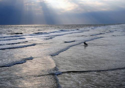 Лучшие фотографии природы