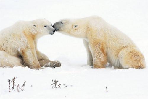 Лучшие фотографии природы