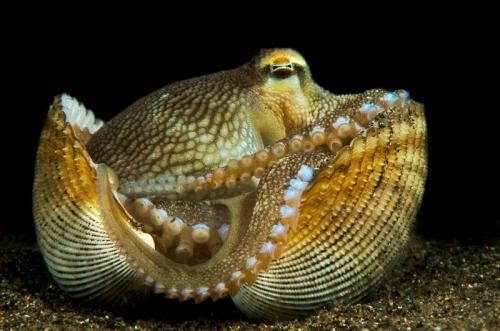 Лучшие фотографии природы