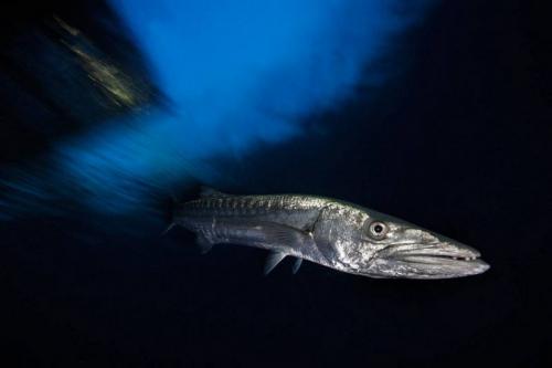 Лучшие фотографии природы