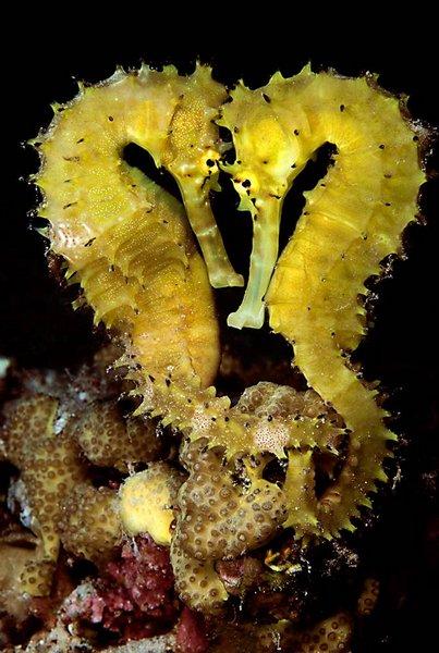 Лучшие фотографии природы