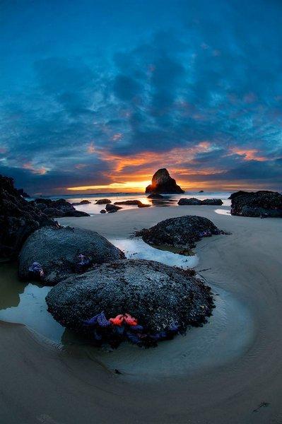 Лучшие фотографии природы