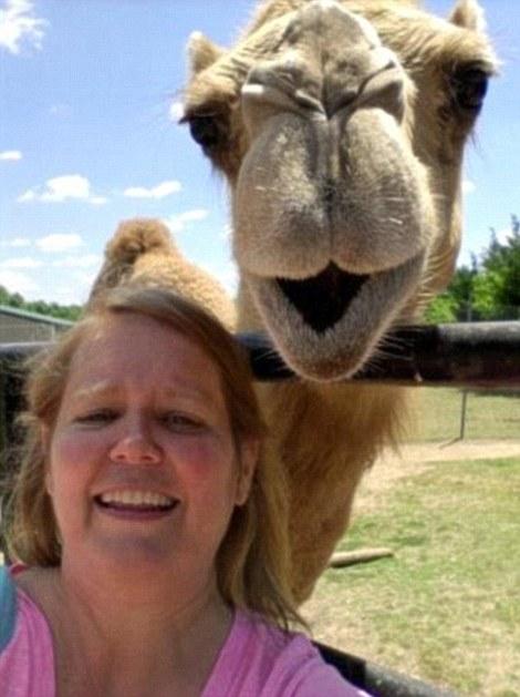 Этот верблюд, похоже, счастлив оказаться в кадре.