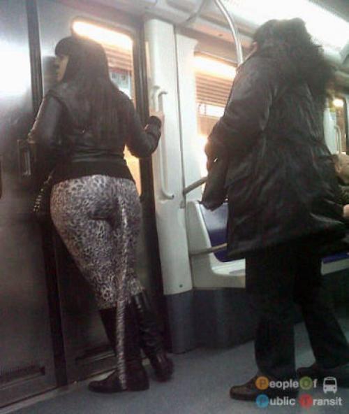 Странные пассажиры общественного транспорта