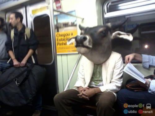 Странные пассажиры общественного транспорта