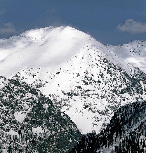 Дмитрий Медведев стал фотографом