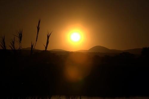 Дмитрий Медведев стал фотографом