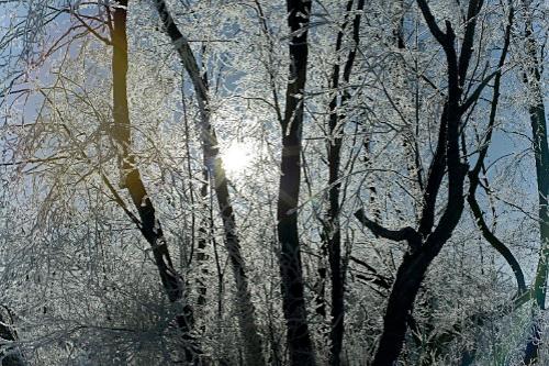 Дмитрий Медведев стал фотографом