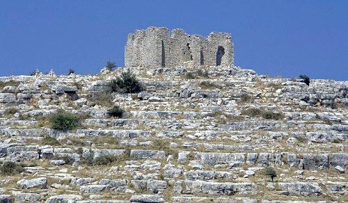 Дмитрий Медведев стал фотографом