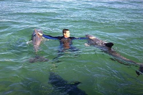 Дмитрий Медведев стал фотографом