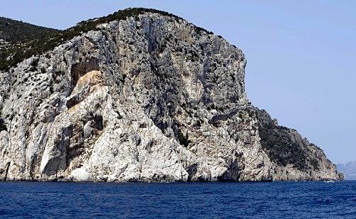 Дмитрий Медведев стал фотографом