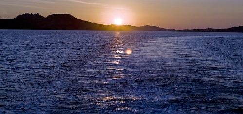 Дмитрий Медведев стал фотографом