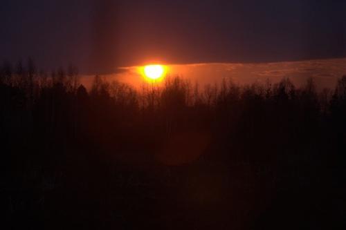 Дмитрий Медведев стал фотографом